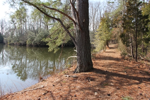 Trail looping around a pond