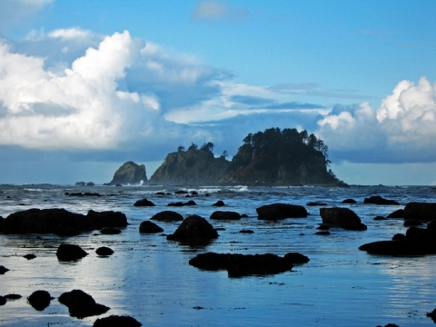 Sea stacks viewed from beach near Lake Ozette