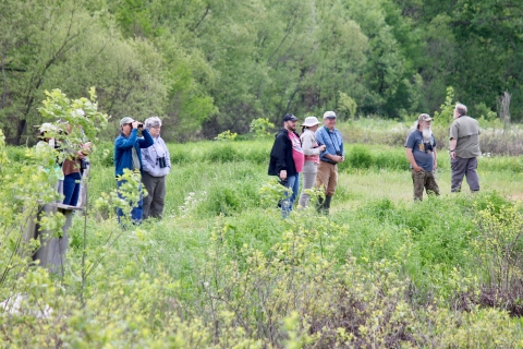 Visitors watching wildlife.