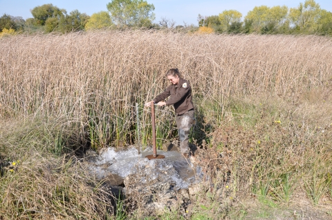 Wetland water management at Stone Lakes National Wildlife Refuge