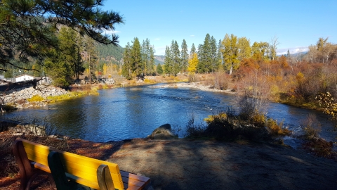 Photo overlooks a river in the fall, with leaves fallen from some trees and bushes but others still holding their brown and yellow leaves. The photo is taken from behind a bench, set on a low bluff for the view.