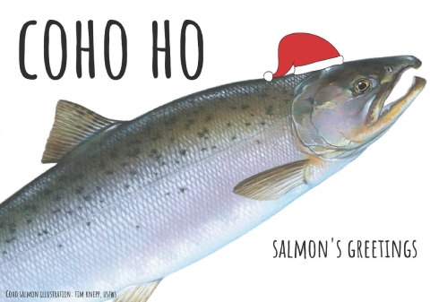 An illustration of a large silvery fish called a coho salmon fills up most of the card. The fish illustration has had a santa hat added to it digitally. The words “Coho Ho” are above the fish, and the words “Salmon’s Greetings” are below the fish.