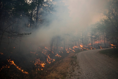 A prescribed burn beside a gravel road.