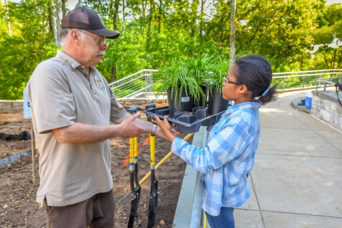 man handing plants to girl to plant in garden