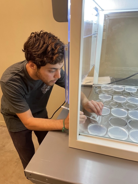 A man putting seeds into a petri dish