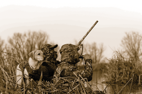 Two hunters in camo clothing hide with a hunting dog in the tules beside a marsh. One hunter is using duck call while the other holds a shotgun. 