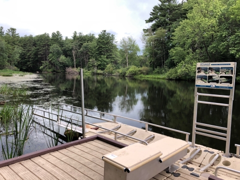 A tan ADA canoe/kayak launch on the Nashua River surrounded by green vegetation