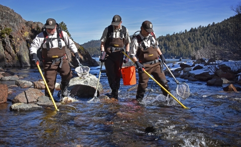 three men in a river with long poles