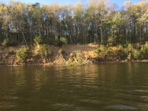 shoreline erosion