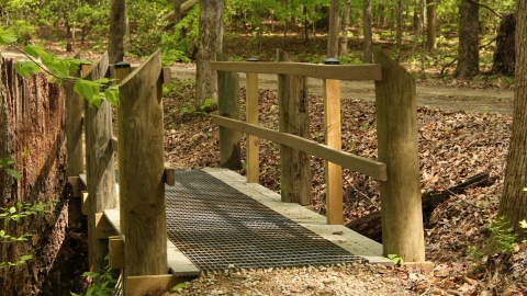 Bridge on trail