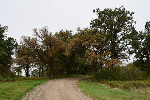 J. Clark Salyer National Wildlife Refuge Sandhills Trail entrance. 