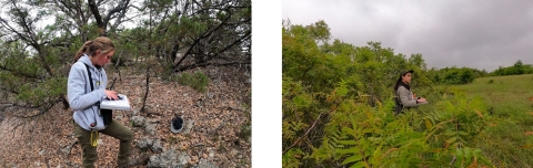 Two biologists in the woods record observations in their notebooks. 