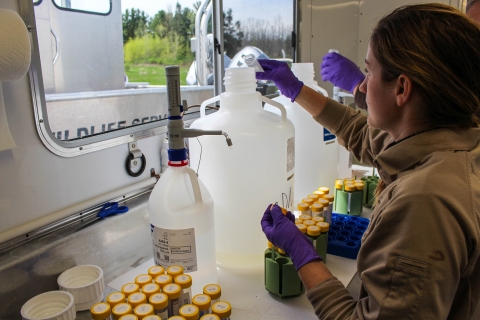 Biological technician processing samples in eDNA trailer.