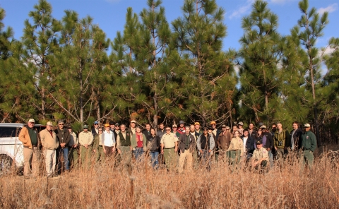 Long Leaf Pine Academy