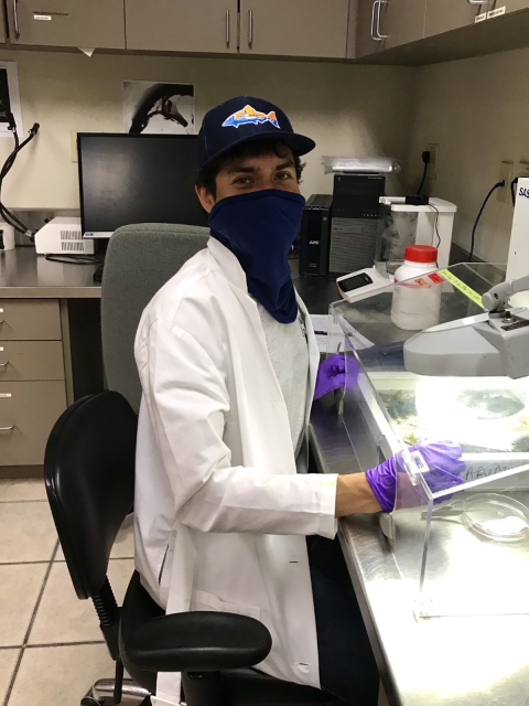 A man in a white coat, mask and rubber gloves with lab equipment