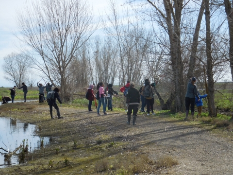 People using hand tools to collect tree cuttings.