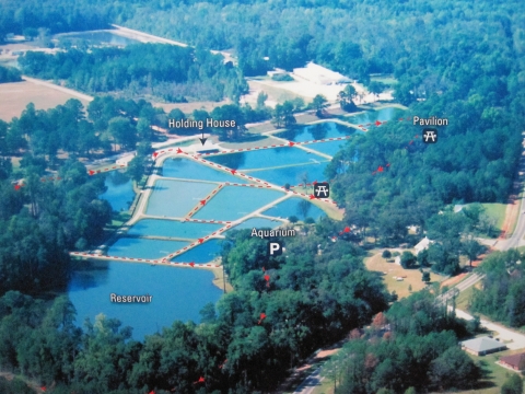 Aerial photo of Orangeburg National Fish Hatchery