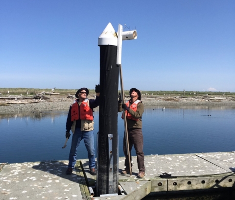 Refuge Volunteers Install Nest Boxes on Protection Island