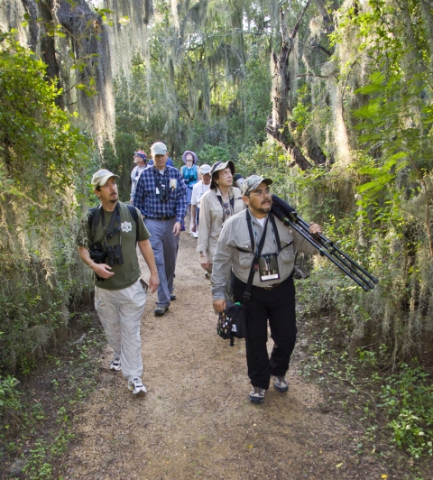 Bird festival goers head down the Chachalaca Trail at Santa Ana National Wildlife Refuge, carrying binoculars and camera gear.