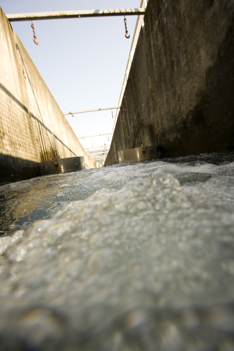 inside the fish ladder