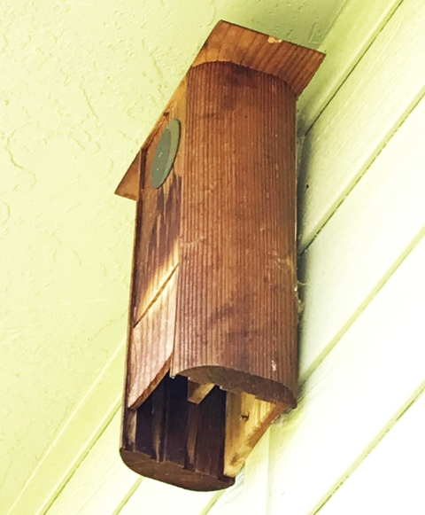 bat box