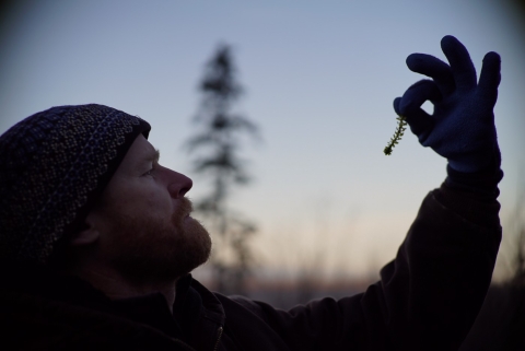 Man holding fragment of Elodea in a gloved hand