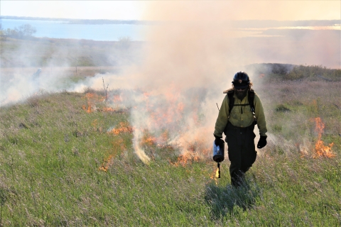 Prescribed Burning