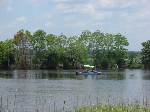 Fishing from a boat on the Edisto River.