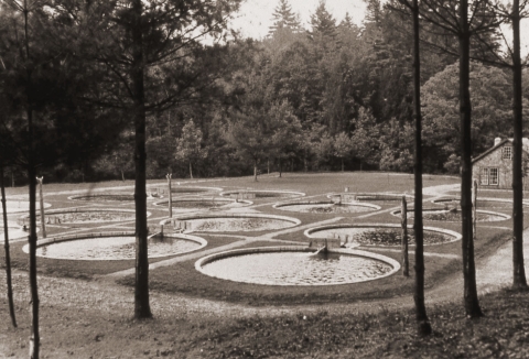 Historic circular trout rearing ponds at Chattahoochee Forest National Fish Hatchery 