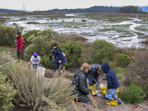 a group of people working in the dirt