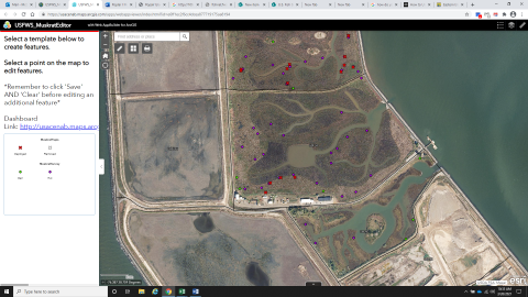 A map from an aerial perspective shows a portion of an island (visually similar to a peninsula in this image.) In a marshy portion of the map, red markers showing muskrat hut locations are seen.