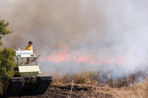 Refuge staff manage a controlled burn to improve habitat for wildlife at E.F.H. ACE Basin NWR.