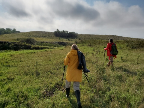 People walking through prairie