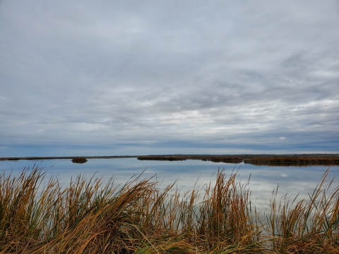 Unit 2 Marsh on Long Lake