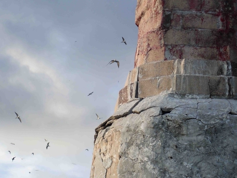 Th side of Earhart Lighthouse takes on the corner of this photo. Seabirds fly in the back under a clouded sky. 