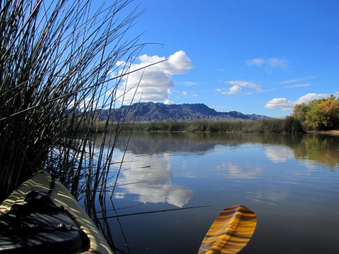 Waterway view at Bill Williams River Refuge