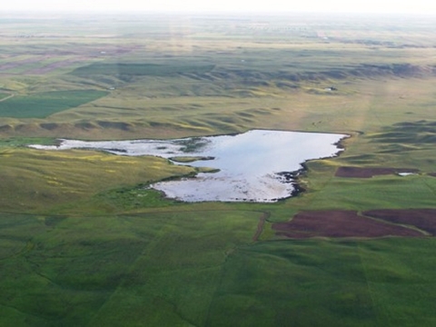 Large wetland