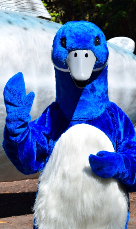 Purchase Seagull mascot Wild - Bird Costume - Send Fast in Mascot