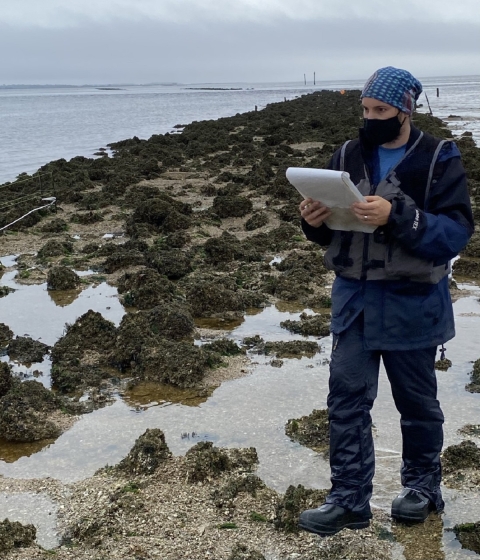 A male student researcher walking along the reef with a notepad