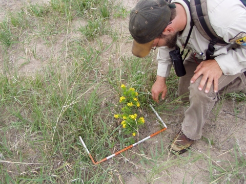 Grassland Monitoring