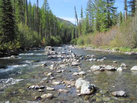 Upper Imnaha River Oregon