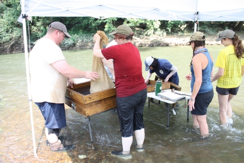 Mussel collection and sorting on the Duck River