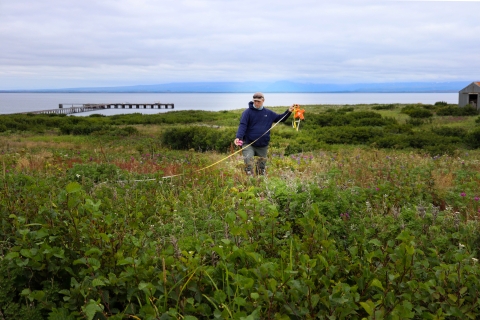 man holding a measuring tape standing in a lush green field