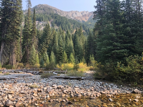 Lostine River