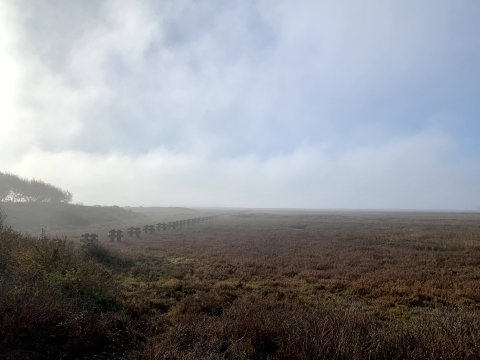 Early morning fog rises as the sun begins to shine through.