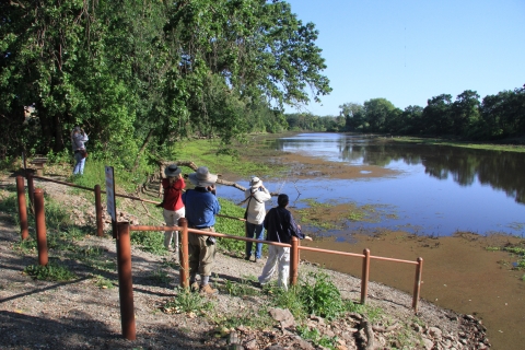 bird watchers looking out on packer lake 