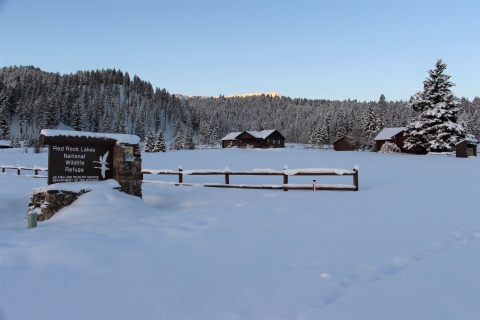 A clear day with snow covering a sign, fence, and house in the background.