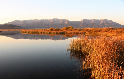 Mountains reflect in the still water of a pond.