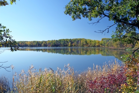 J. Clark Salyer National Wildlife Refuge WMD Turtle Mountain WPA