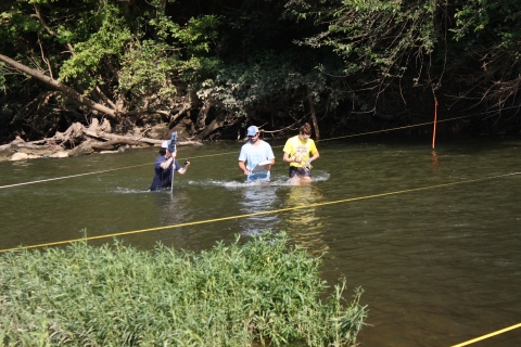 Mussel monitoring on the Duck River